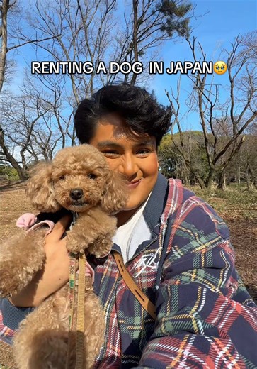 Renting a Dog in Japan: An Unforgettable Experience