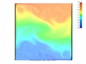 Square cavity thermally driven by natural convection
