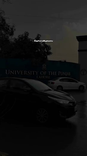 Exploring the University of Punjab Experience