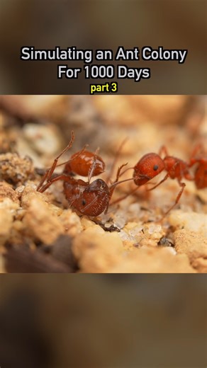 Dr. Plants on Instagram: "Simulating an Ant Colony For 1000 Days pt 3 🐜 #ecosystem #wildlife #nature #plants #earth #pets #petsofinstagram"