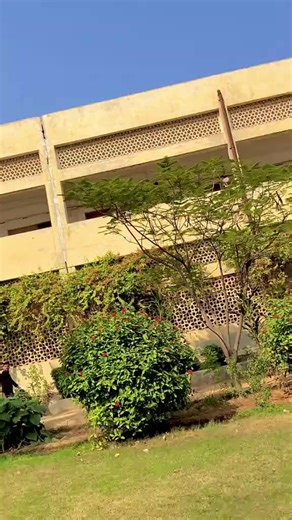 Student Life at Sindh University: A Guide
