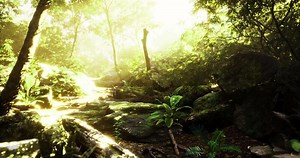 Sunlight filtering through lush trees in a vibrant forest ecosystem