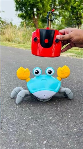 Remote Control Crab Toy Crawling & Walking Test 🦀