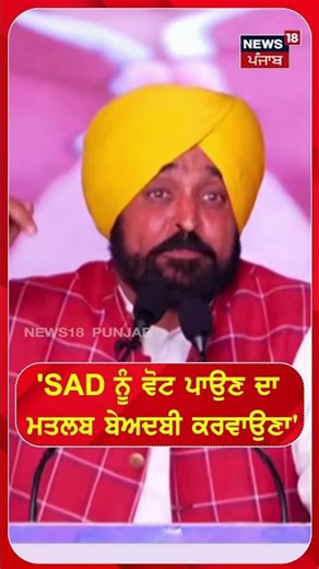 'SAD ਨੂੰ ਵੋਟ ਪਾਉਣ ਦਾ ਮਤਲਬ ਬੇਅਦਬੀ ਕਰਵਾਉਣਾ' #shorts |N18S
