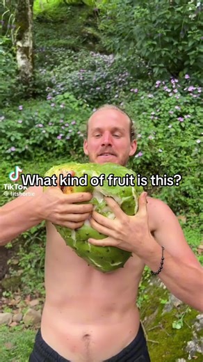 What kind of fruit is this?