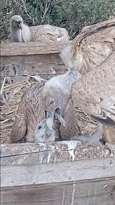 Nature Surprise! 😍 Up Close