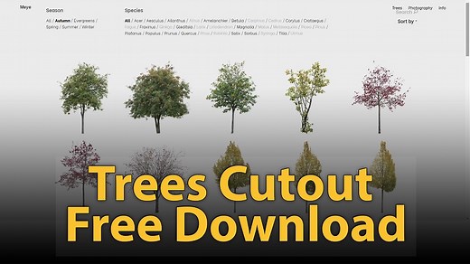 Download Free Cutout Trees | Meye