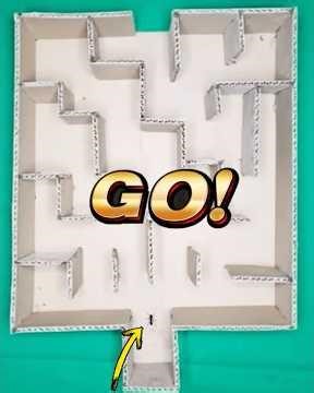 Clever Ant Maze Challenge 🐜 | Can the Ants Find the Way out ?