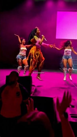 Zara Larsson Fan Started Her Own Show Mid Performance 😳