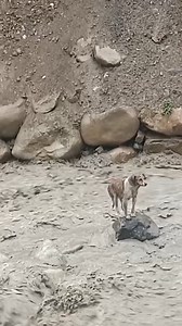 Reader's Digest on Reels