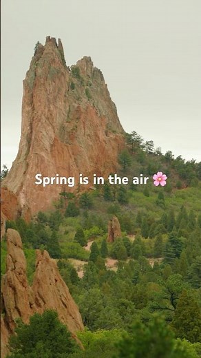 Spring is in the air 🌸