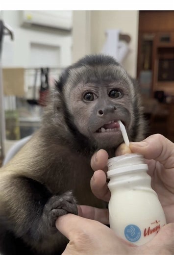 บัญชีที่แนะนำ