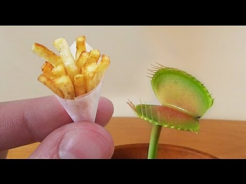 Plant eats MINIATURE French Fries!!