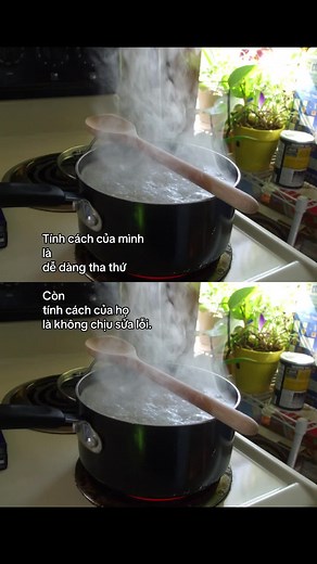 Cooking with Steam: A Kitchen Guide