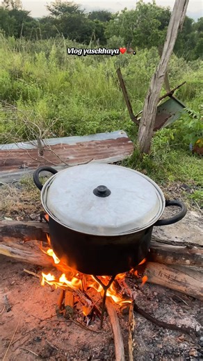 Shop Smart: Use Code 2RTMD for Savings at SHEIN