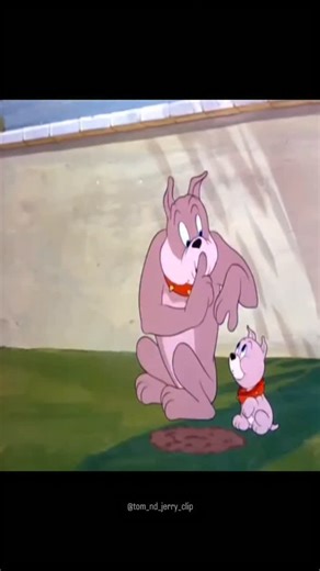 Tom&jerry on Instagram: "日本利用压电瓷砖将脚步转化为电能。这些瓷砖捕捉来自你脚步的动能。当你行走时，你的重量和动作会对瓷砖产生压力。瓷砖会轻微弯曲，从而产生机械应力。瓷砖内部的压电材料将这种应力转化为电能。 每一步都会产生少量电荷，而数百万步结合在一起就能产生足够的电力来驱动LED 灯、数字显示屏和传感器。在像涩谷车站这样繁忙的地方，每天大约有240万个脚步为这一系统作出贡献。这些电能可以被储存或立即使用，从而减少对传统电力来源的依赖，并支持可持续的城市基础设施。这种方法将日常运动转化为实用的可再生能源 ＃日本#知识＃事实＃你知道吗 ＃推荐 ＃科技 #创新 #历史 #技术 #实验#热门日本利用压电瓷砖将脚步转化为电能。这些瓷砖捕捉来自你脚步的动能。当你行走时，你的重量和动作会对瓷砖产生压力。瓷砖会轻微弯曲，从而产生机械应力。 瓷砖内部的压电材料将这种应力转化为电能。每一步都会产生少量电荷，而数百万步结合在一起就能产生足够的电力来驱动LED 灯、数字显示屏和传感器。在像涩谷车站这样繁忙的地方，每天大约有240万个脚步为这一系统作出贡献。这些电能可以被储存或立即使