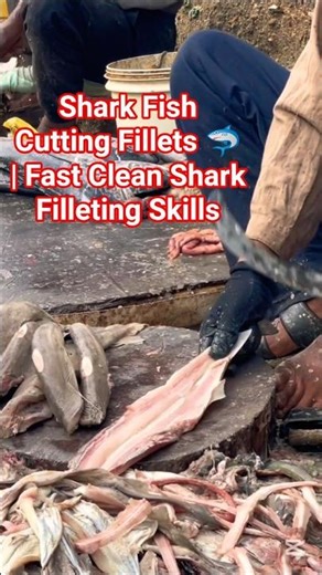Shark Fish Cutting Fillets 🦈 #SharkFish #FishFillet #FishCutting #SeafoodShorts #Shorts
