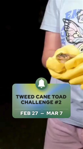 Ready to bust MORE toads?! 🐸⚔️ Tweed, you asked… and we listened! The Tweed Community Cane Toad Challenge returns Friday 27 February to midnight Saturday 7 March! 🐸 Join the community effort to reduce cane toad numbers and compete for awesome prizes. 👉 Log your toads here: https://brnw.ch/21x02kB Also make sure you hit 'attending' in our Facebook Event to stay updated: https://brnw.ch/21x02kA Let’s make a real impact together. 💚✨ This event is being delivered by Watergum, a not-for-profit co