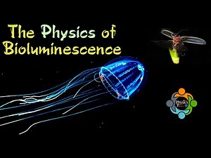 The Physics of Bioluminescence – Nature’s Living Light Show
