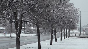 50K views · 2.4K reactions | ❄️SNOW IN TEXAS❄️ This San Antonio family drove THREE HOURS to Ozona so they could experience snow for the first time! Watch them build a snowman and enjoy playing in this winter wonderland! ☃️ Did you see any snow? Show us your weather photos here  https://news4sanantonio.com/chimein | News 4 San Antonio | Facebook