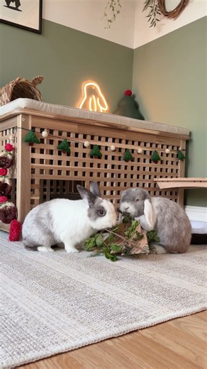 Christmas Bunny Enrichment 🐰🎄 - Christmas Tree Toy