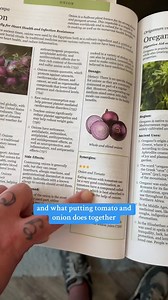 Curious about what lies within the pages of 'Ancient Remedies Revived'? 📖 Join us on a journey through centuries-old herbal wisdom, revitalized for modern wellness seekers. Find out why readers can't get enough of this holistic treasure trove - Order your book now! https://offer.ancientremediesrevived.com/fbo/presentation | Ancient Remedies