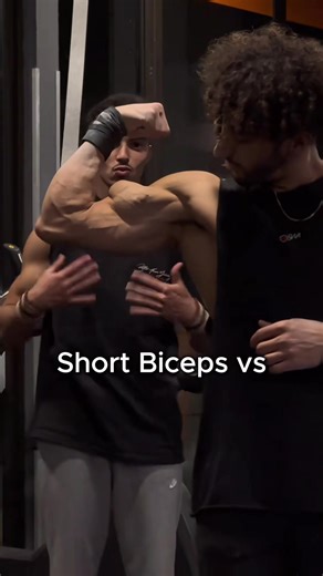 Short Biceps vs Long Biceps: Bodybuilding Comparison