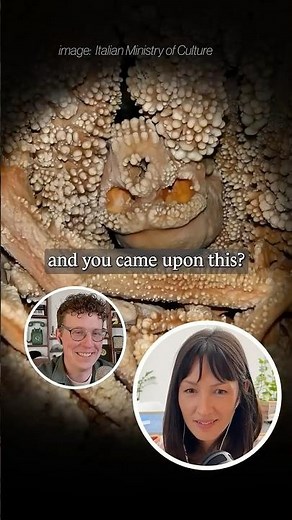 Ancient skeleton fused to a cave wall