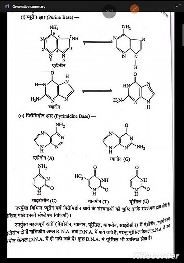 structure DNA nucleotides # purine base and pyrimidine base structure