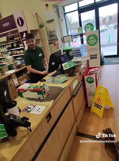 Star the Mini Dachshund's Shopping Adventure for Treats