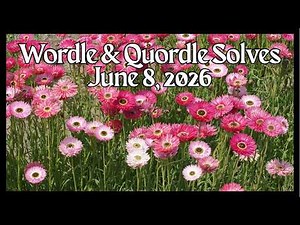 Wordle & Quordle of the Day for June 8, 2026: Happy Upsy Daisy Day!