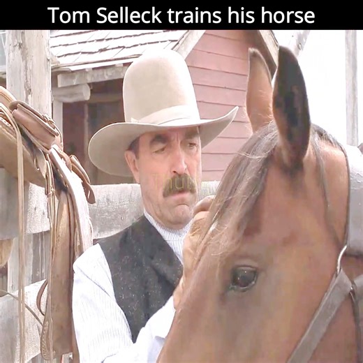 Tom Selleck trains his horse Monte Walsh (2003) | มดตะนอย