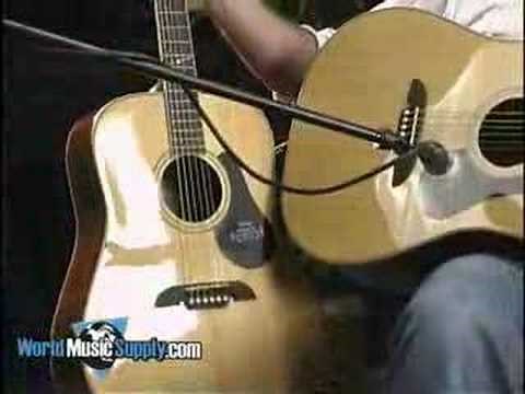 Alvarez AD60 Series Acoustic Guitar Demo