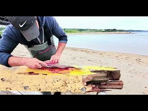 comment fileter un poisson soit même ( pour débutants) , how to fillet a fish, for beginners