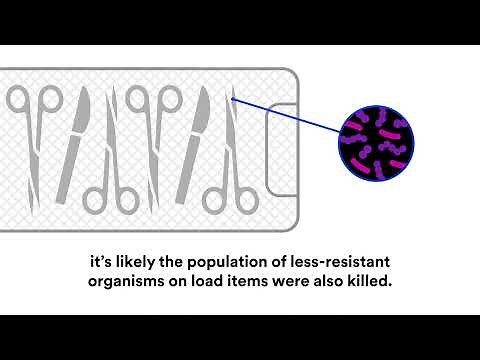 3M™ Attest™ Super Rapid Readout Biological Indicator 1492V