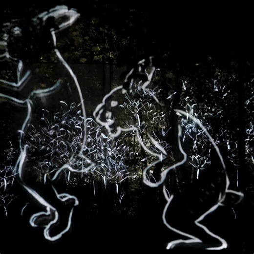 On view at “teamLab Botanical Garden Osaka” Nagai Botanical Garden, Osaka Permanent https://www.teamlab.art/e/botanicalgarden/ ・ “Walk, Walk, Walk - Secondary Forest” A group of anonymous and diverse figures walk along the trees in the forest. Viewers will make choices, as they confront the figures. The Zen expression “Hoho kore dojo” says every step is a place to learn. The figures of the artwork walk endlessly while confronting new situations. Confronting new figures one after another, people 