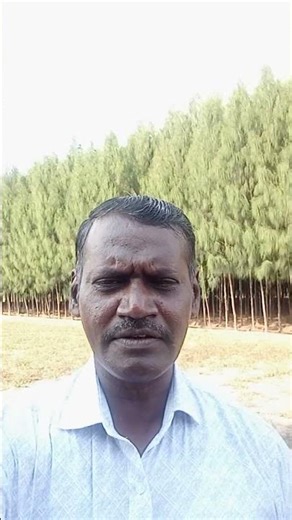 awareness song by Alex RCMS Theli