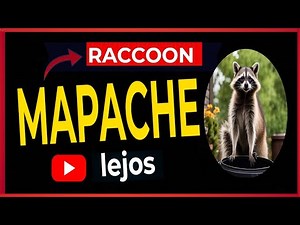 🔴 RACCOON? Métodos de SONIDO para mantener a los mapaches lejos -