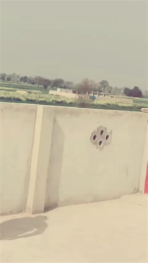 Understanding Account Verification Issues on Social Media