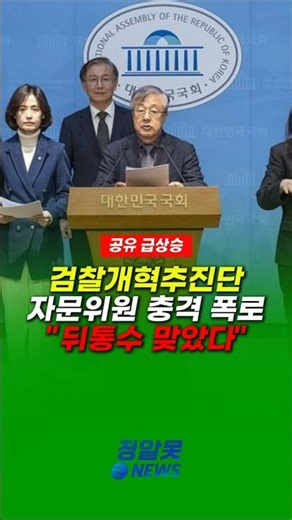 Shocking revelations from an advisory committee member of the Prosecution Reform Promotion Team