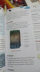 Also. lichens (a combination of algae and fungi) growing on the... | Filo