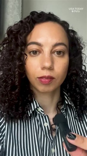 Have you met Punch and his beloved orangutan? USA TODAY's Michelle Del Rey explains how the baby monkey's story won over the hearts of millions. | USA TODAY