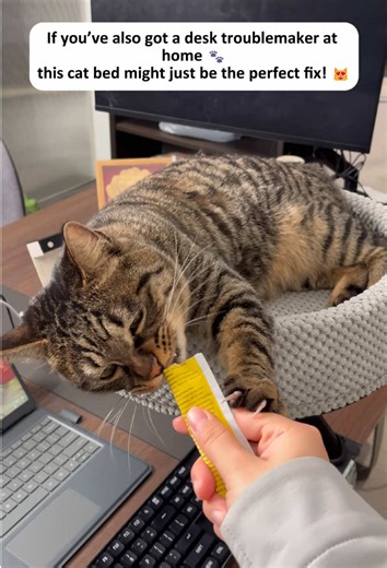 Adjustable Cat Desk Bed for Your Home Office