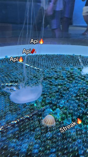 Apiapi🔥🧨🔥🧨🔥#GreenCreator #VinWonders #dulich #TourKhamphathuycungPhuQuoc #VinwondersPhuQuoc