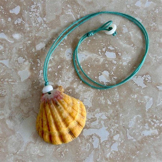 16” Sunrise Shell cord necklace