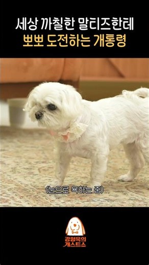 개통령은 가능할까?
