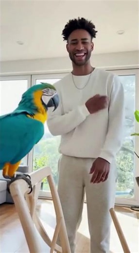 “You Won’t Believe How This Parrot Dances! | Viral Trend 2025 🕺”