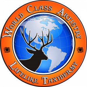 Why choose WCA? | World Class Artistry