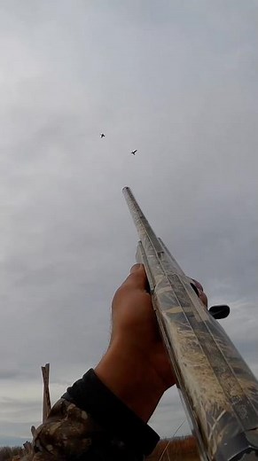These are the types of shots that pumps you up ! #duckhunting #waterfowl #hunting ‪@bossshotshells‬