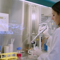 Video: Stepwise Dosing Protocol for Increased Throughput in Label-Free Impedance-Based GPCR Assays